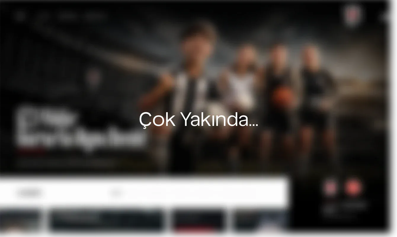 Beşiktaş JK